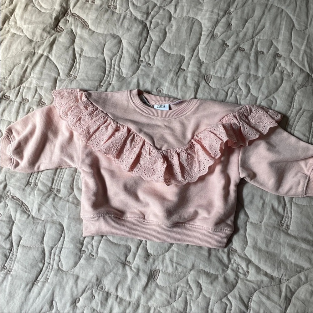 Zara pink ruffle sweater